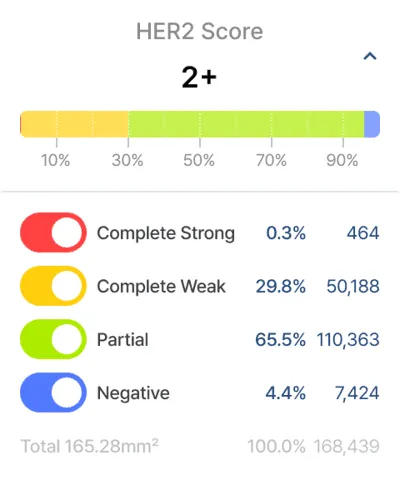 /images/main/Main Graphic 2.webp